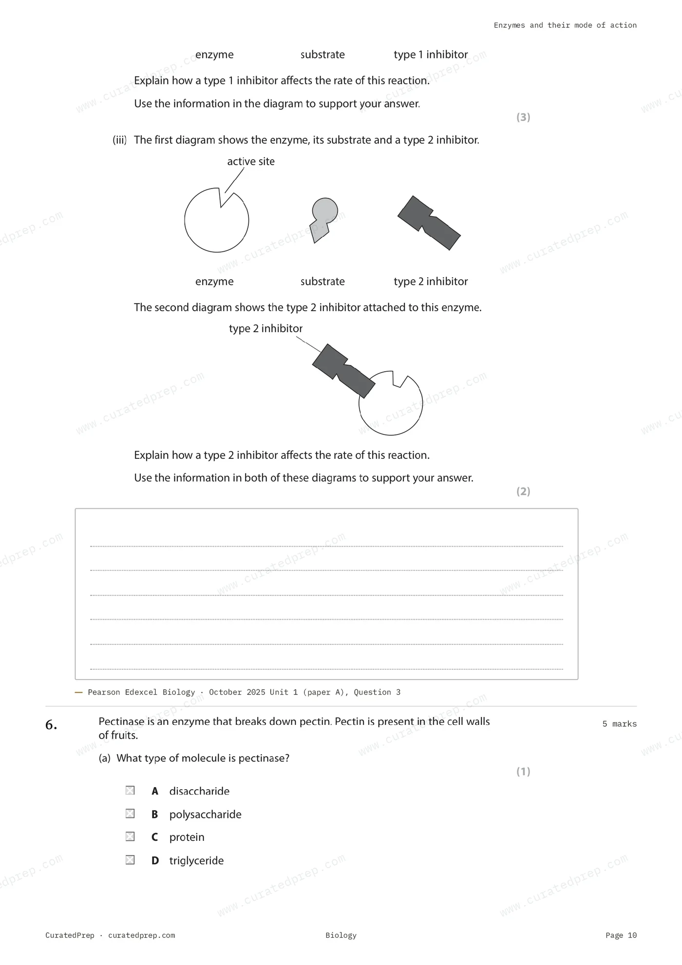Worksheet, page 10
