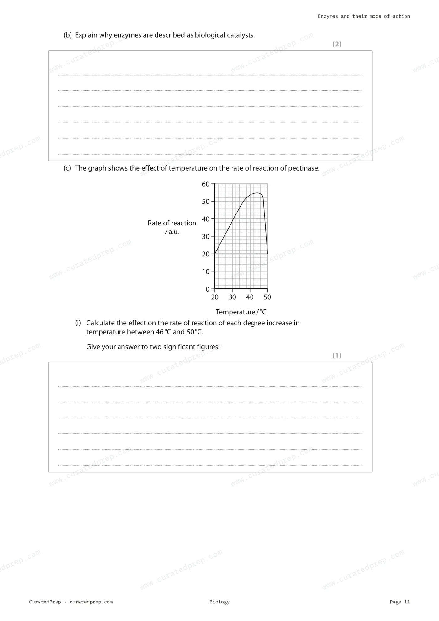 Worksheet, page 11
