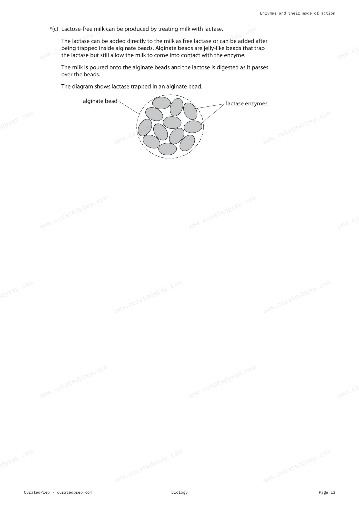 Worksheet, page 13