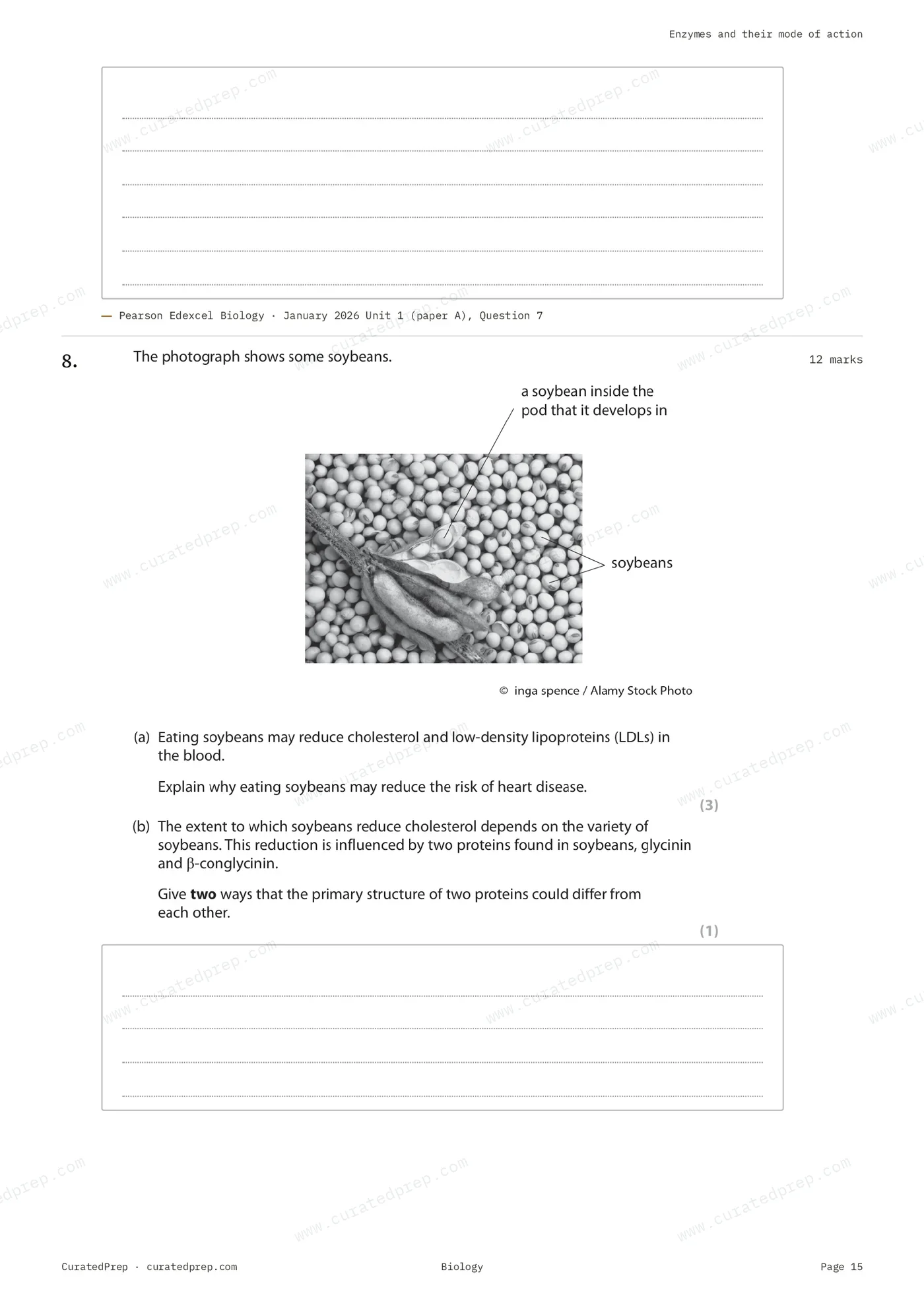 Worksheet, page 15