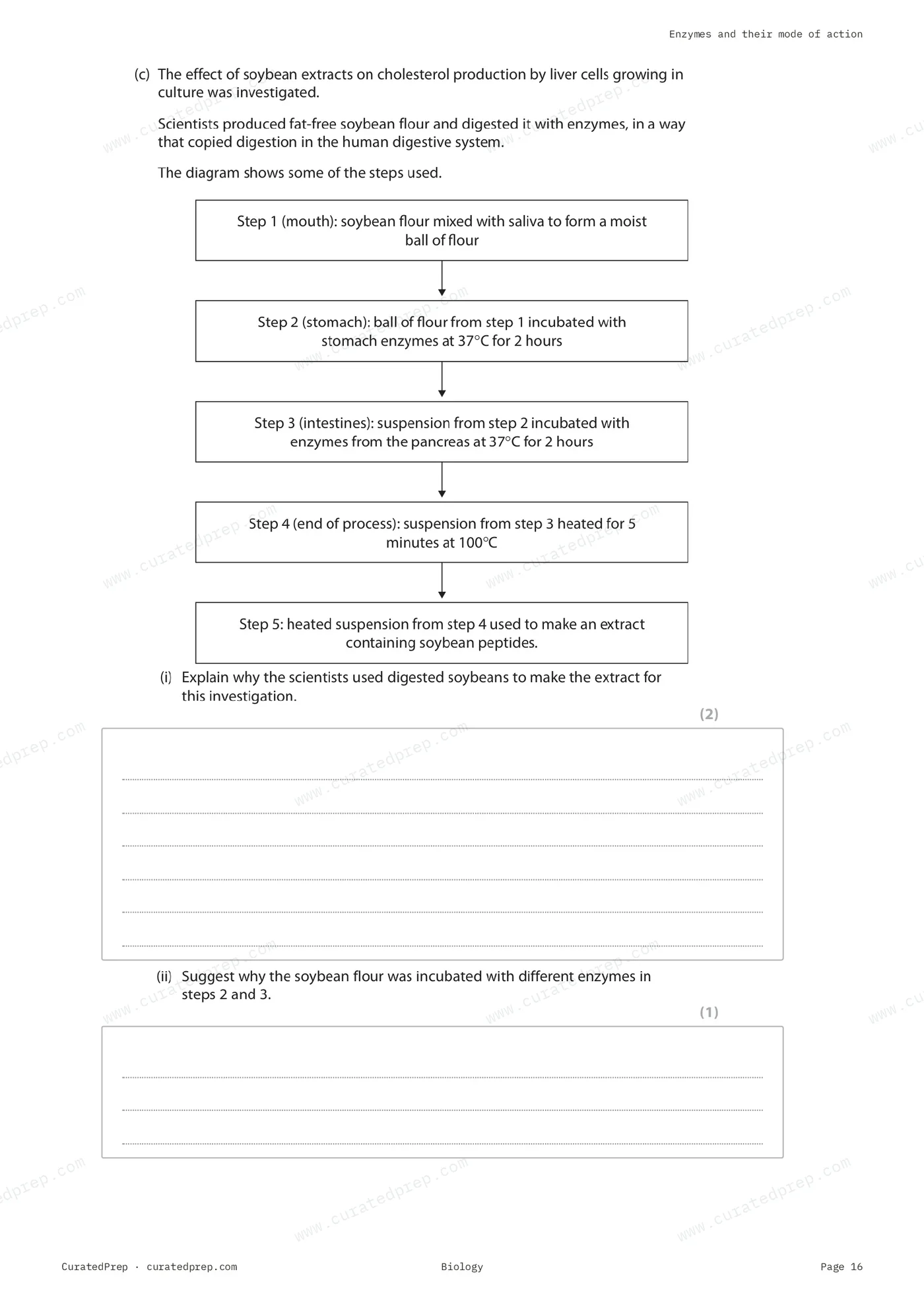 Worksheet, page 16