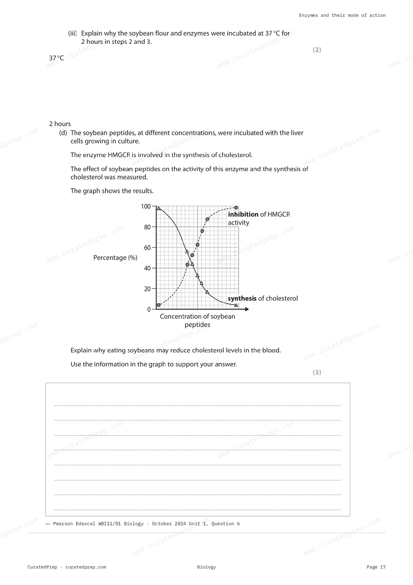 Worksheet, page 17