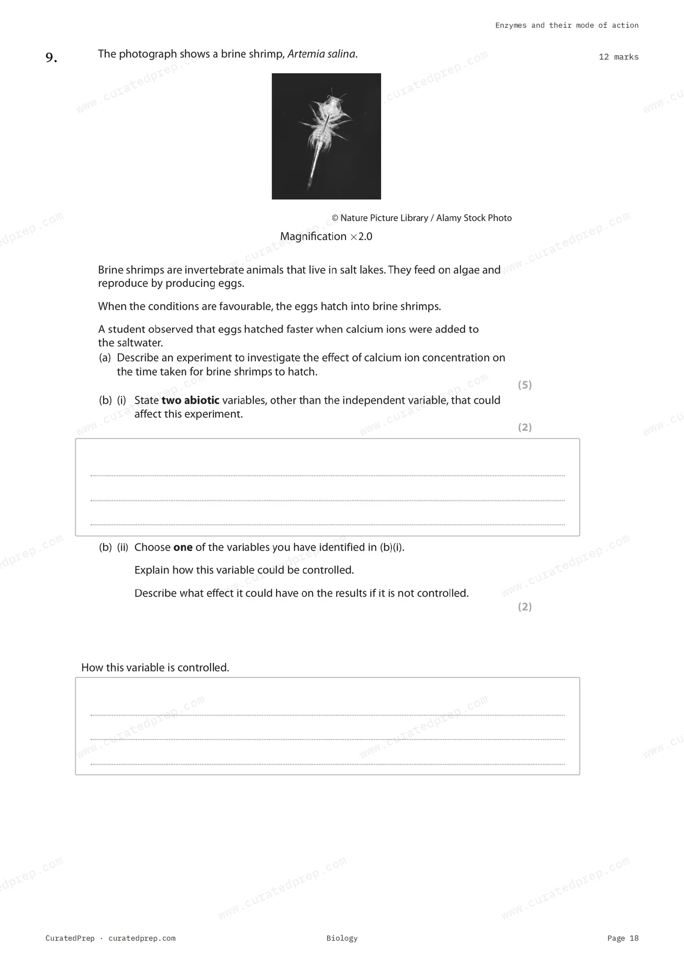 Worksheet, page 18