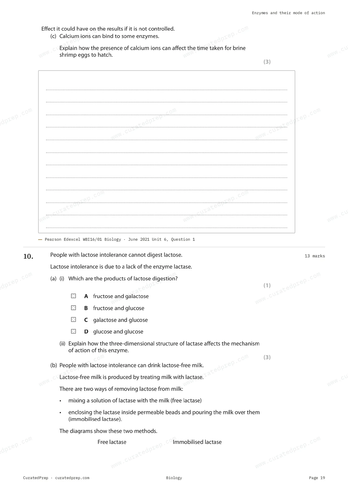 Worksheet, page 19