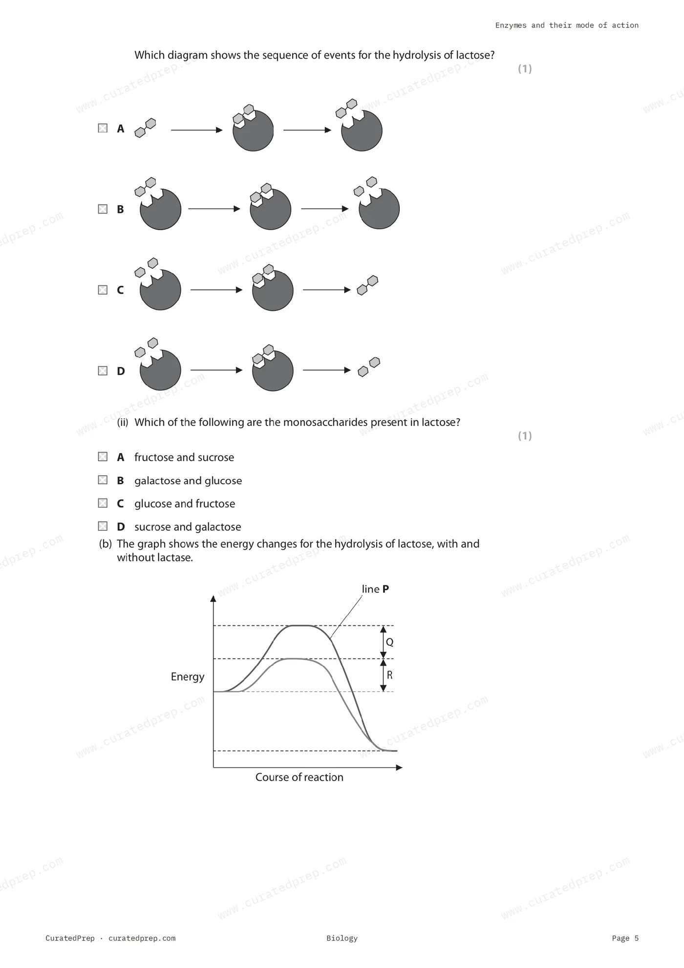 Worksheet, page 5