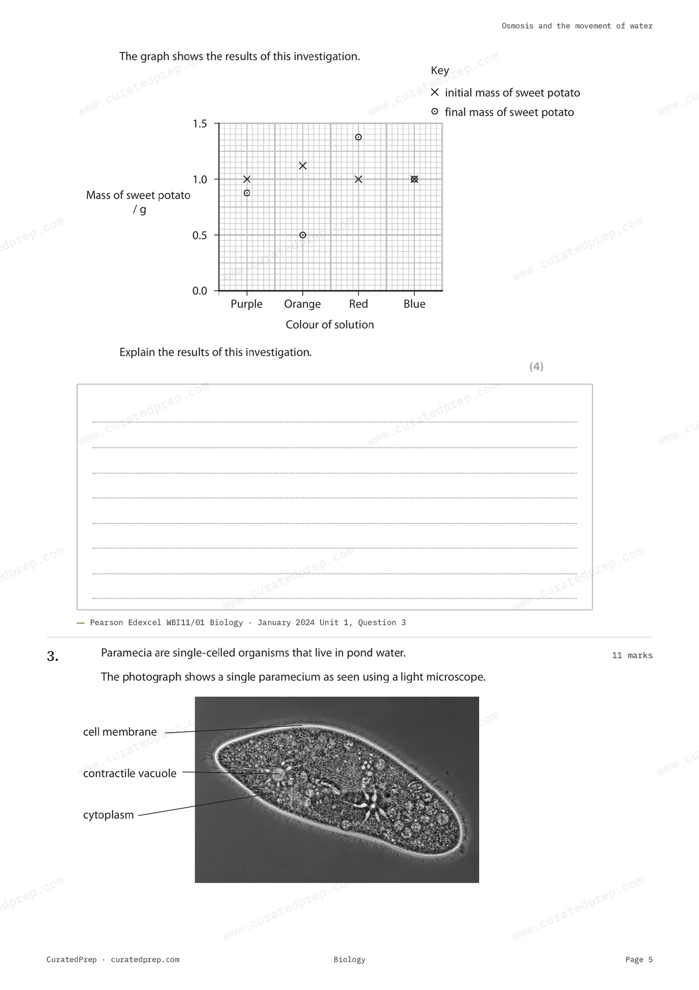 Worksheet, page 5