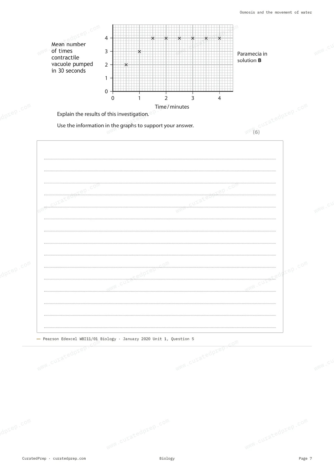 Worksheet, page 7