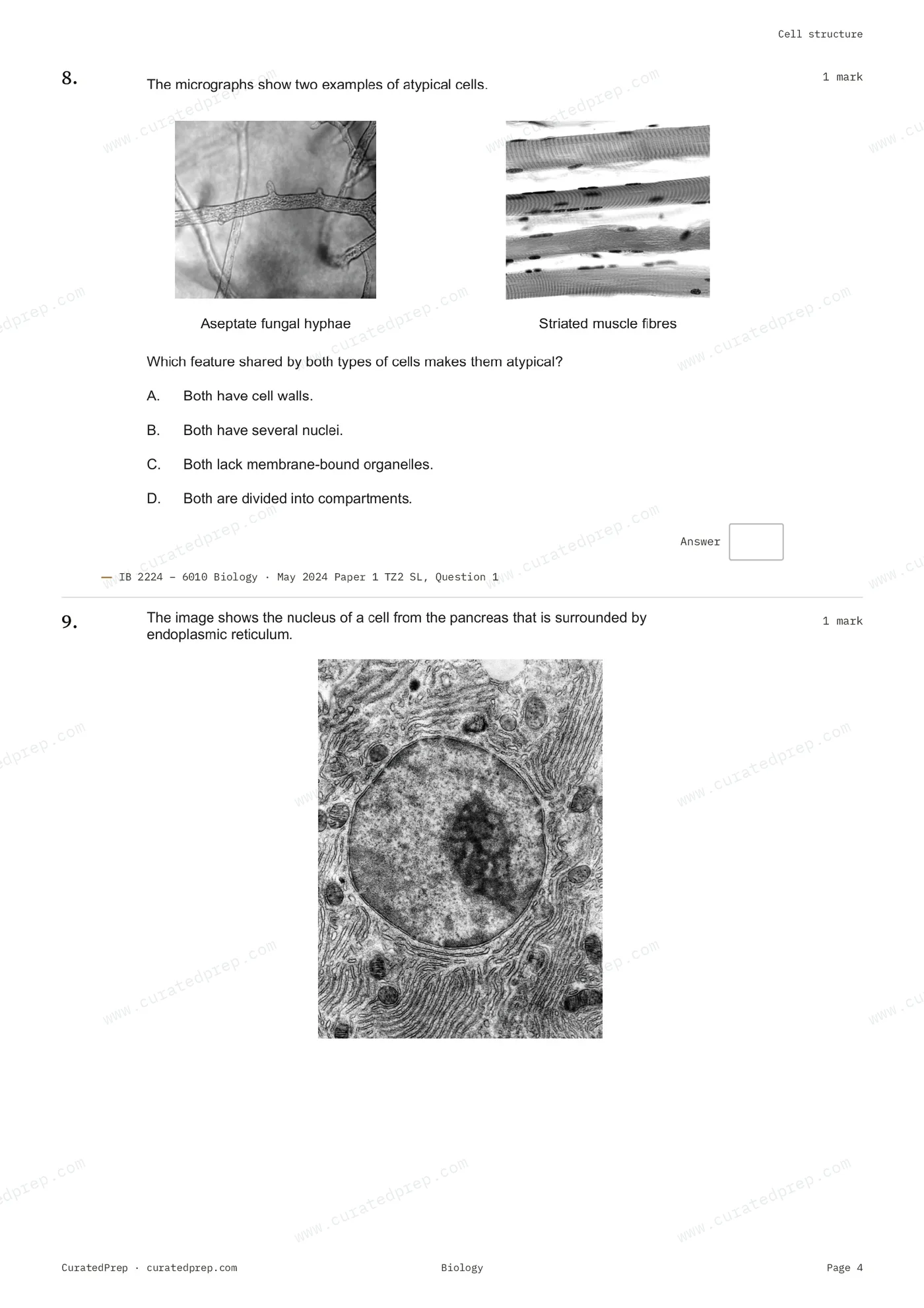 Worksheet, page 4