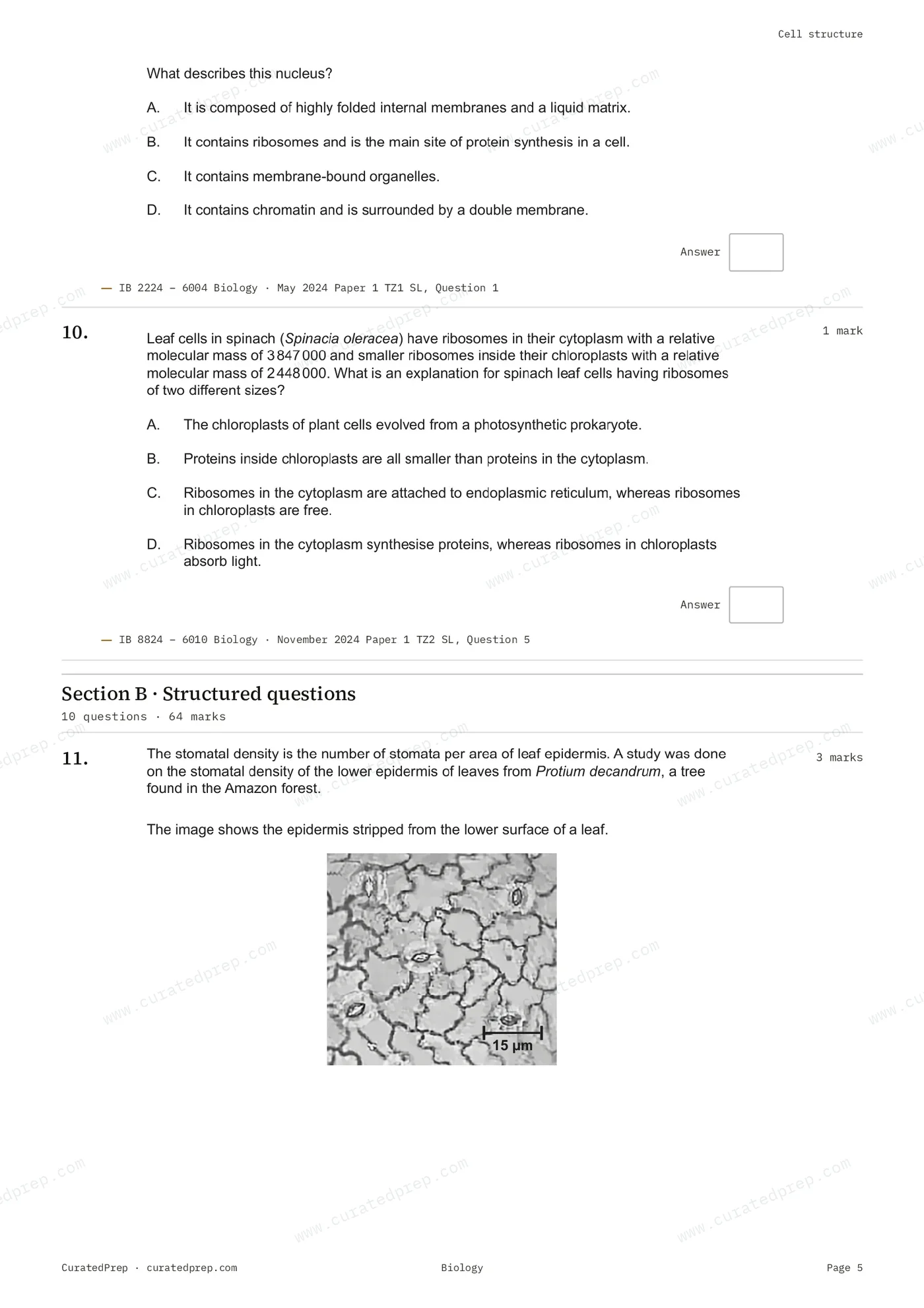 Worksheet, page 5