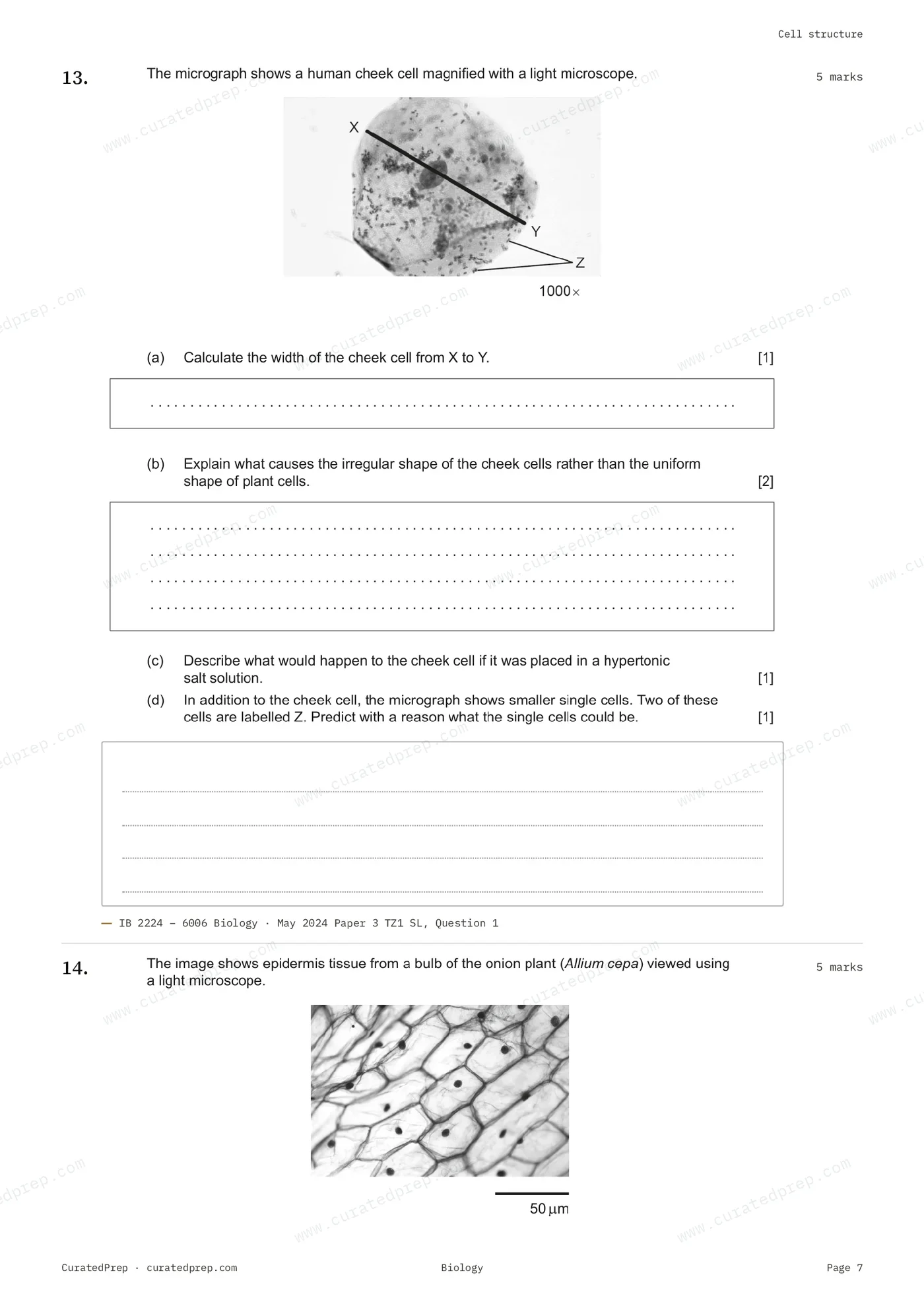 Worksheet, page 7