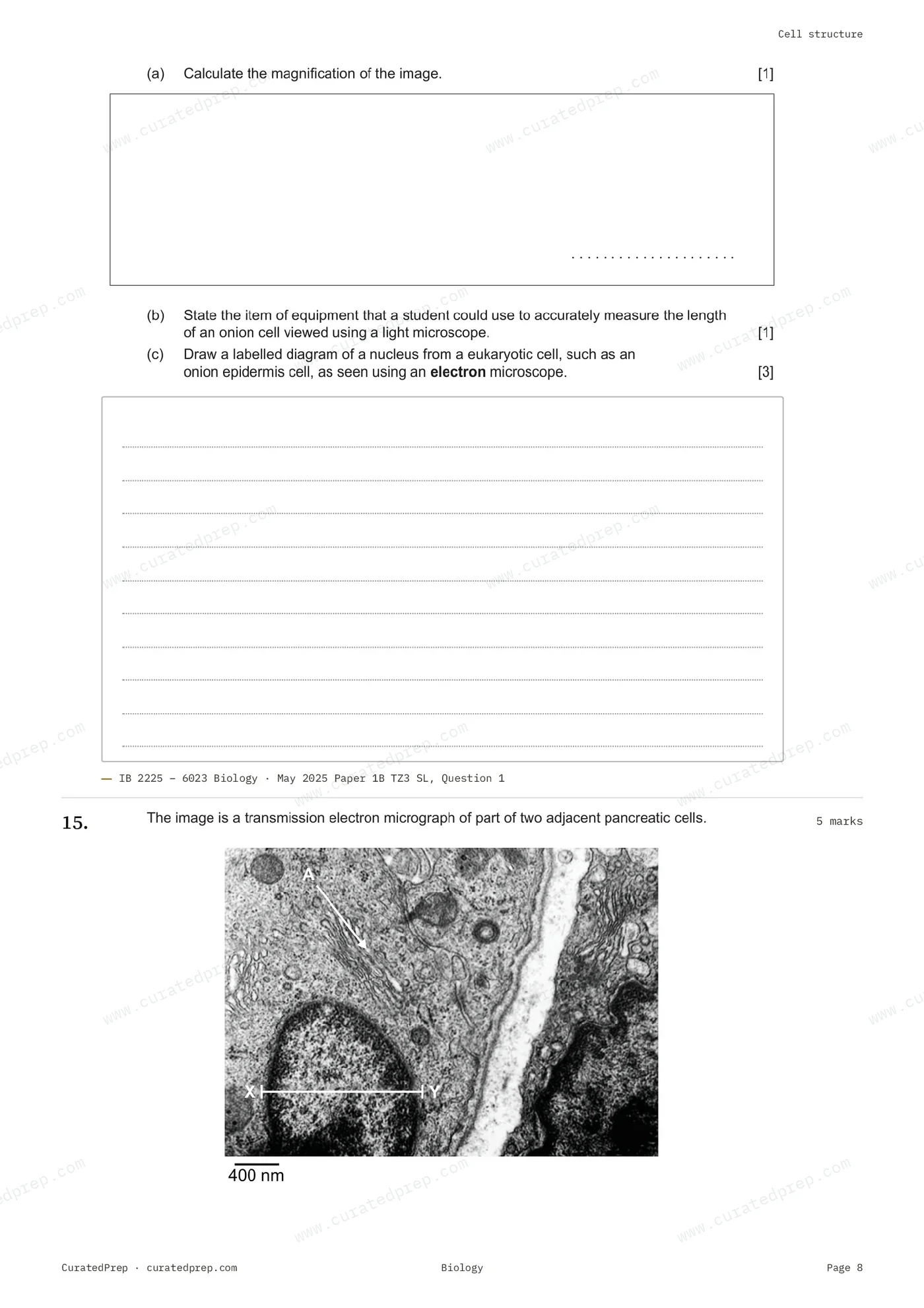 Worksheet, page 8