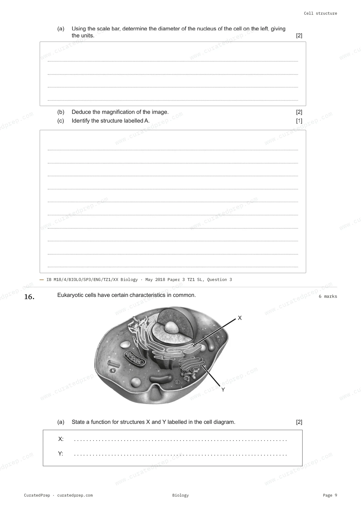 Worksheet, page 9