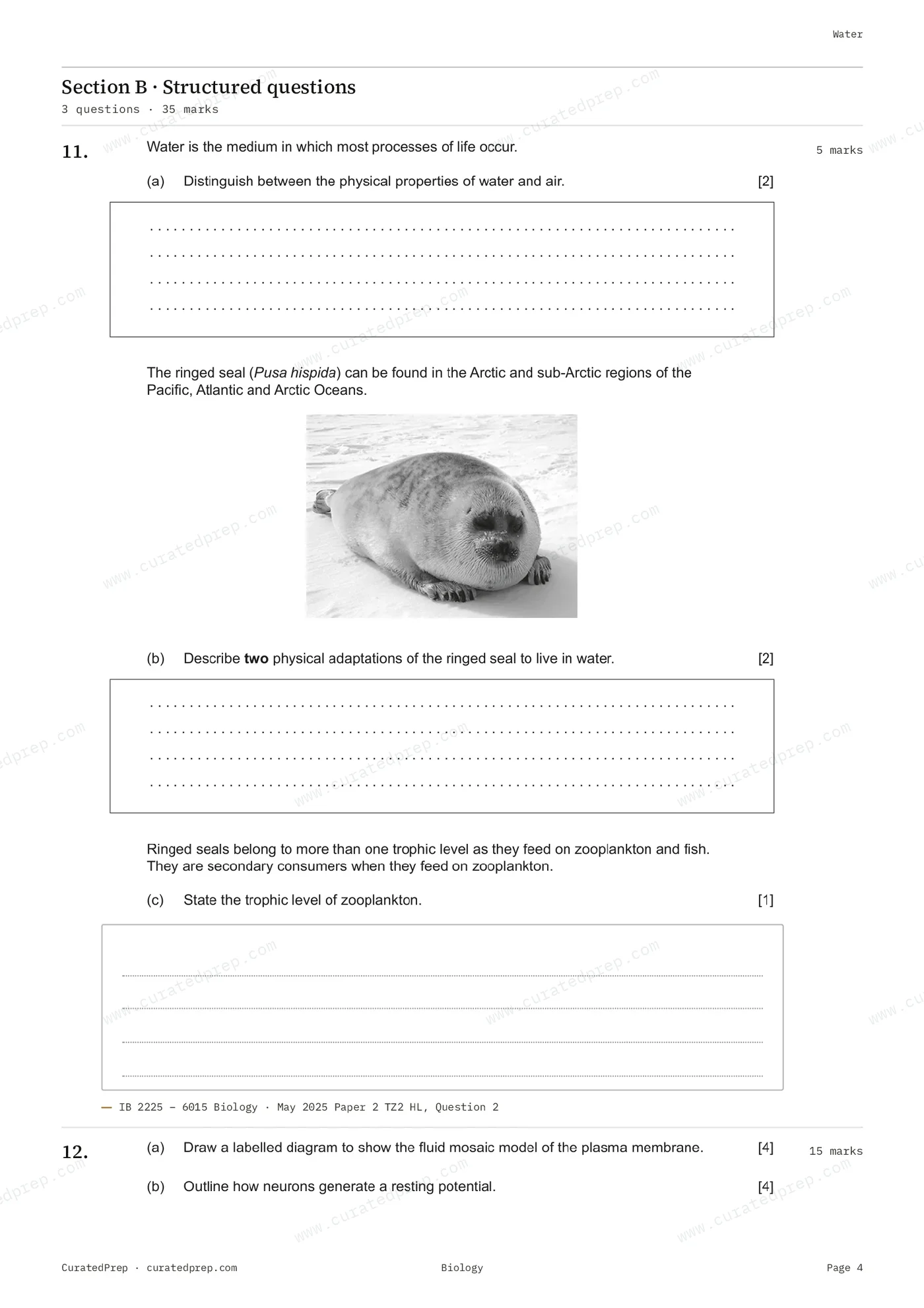 Worksheet, page 4