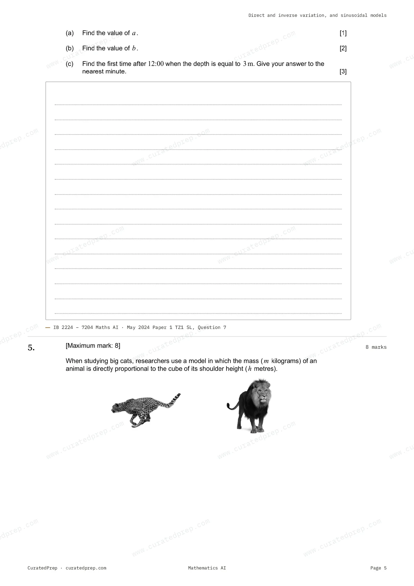 Worksheet, page 5