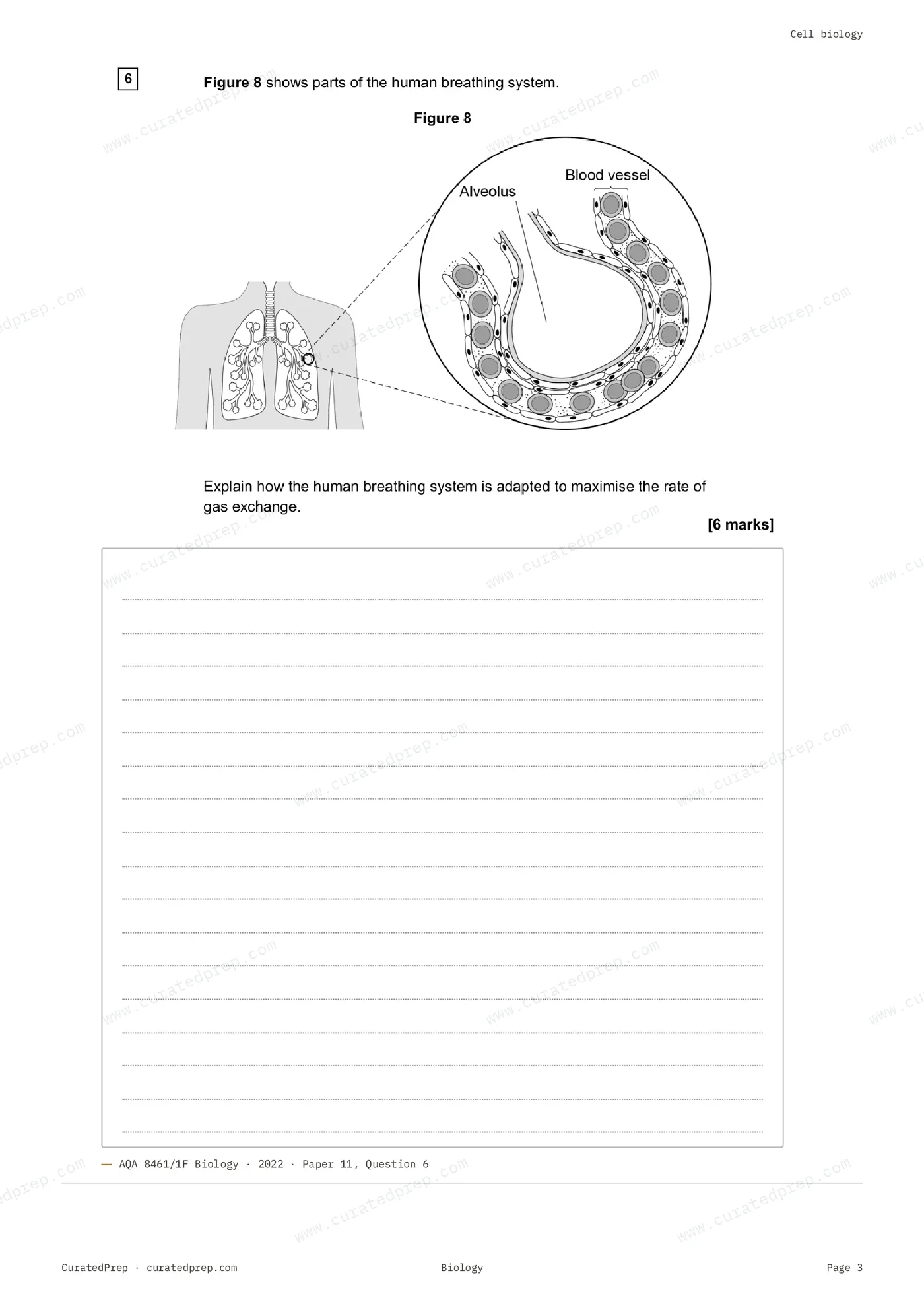 Worksheet, page 3