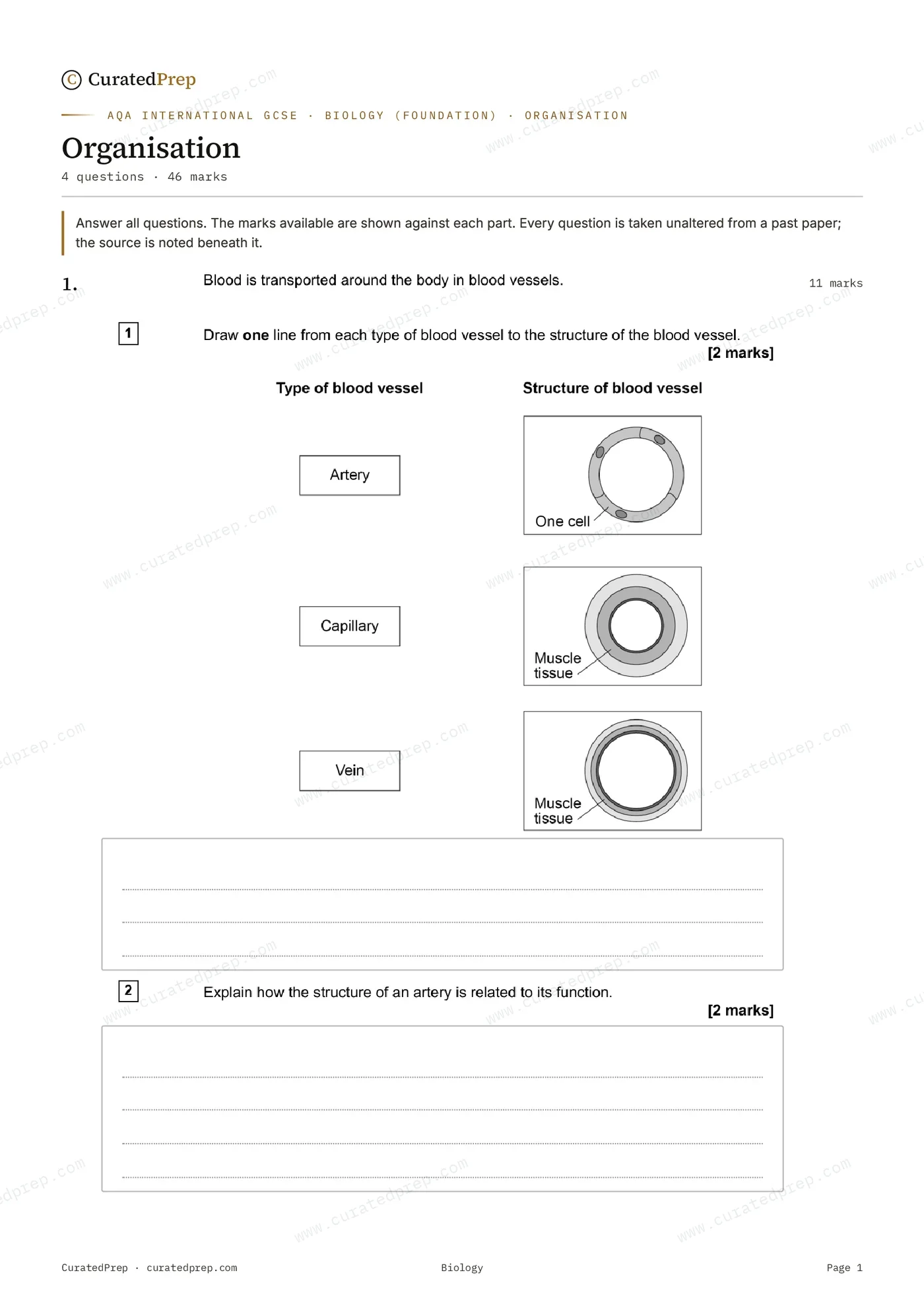Worksheet, page 1