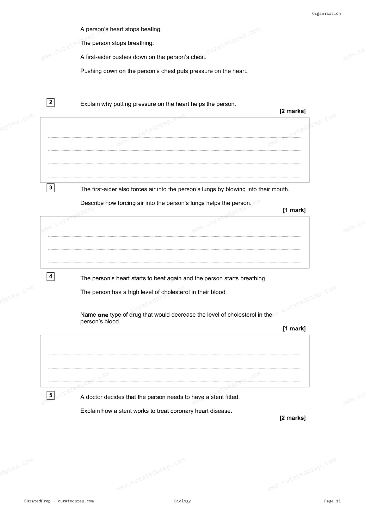 Worksheet, page 11
