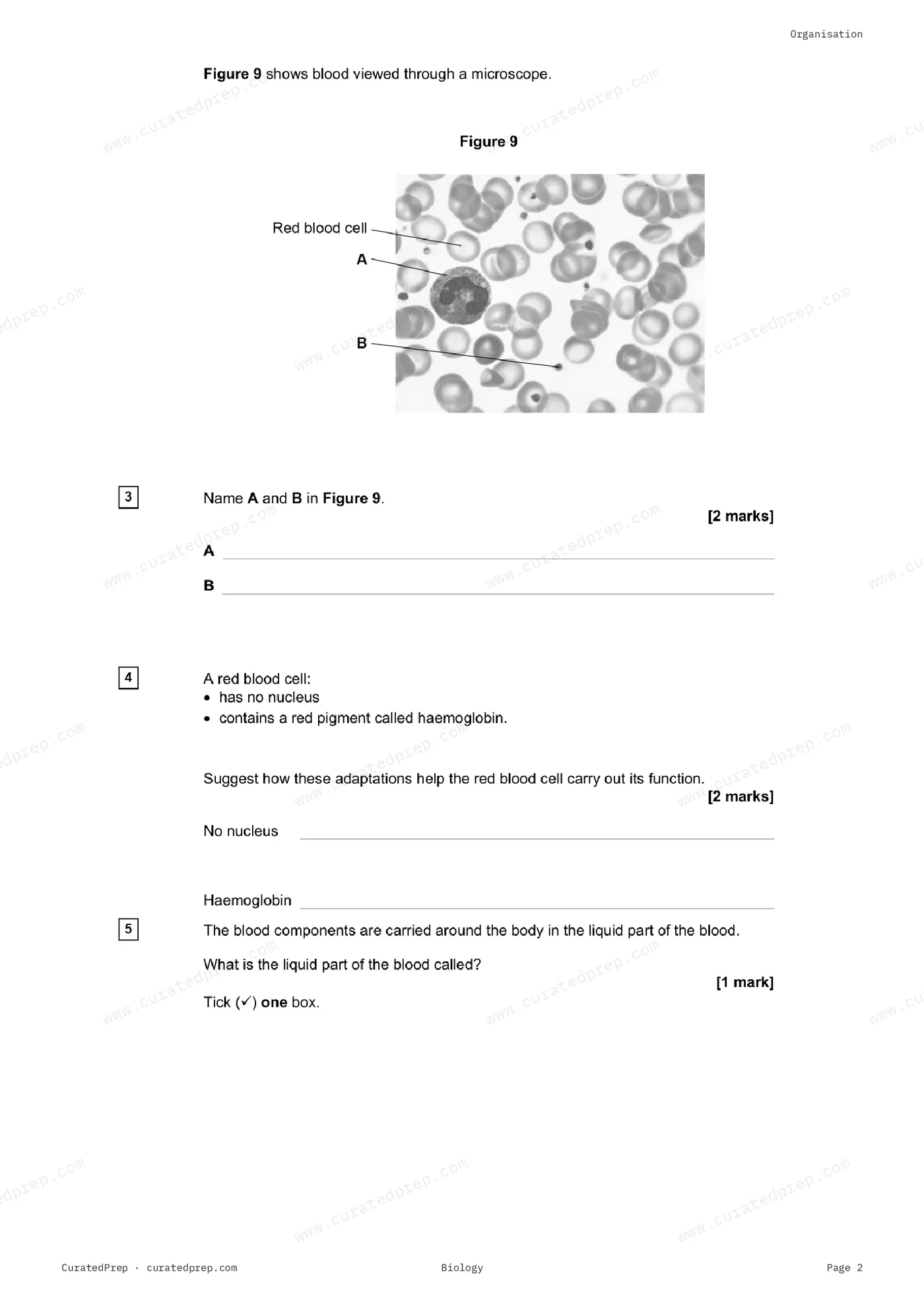 Worksheet, page 2