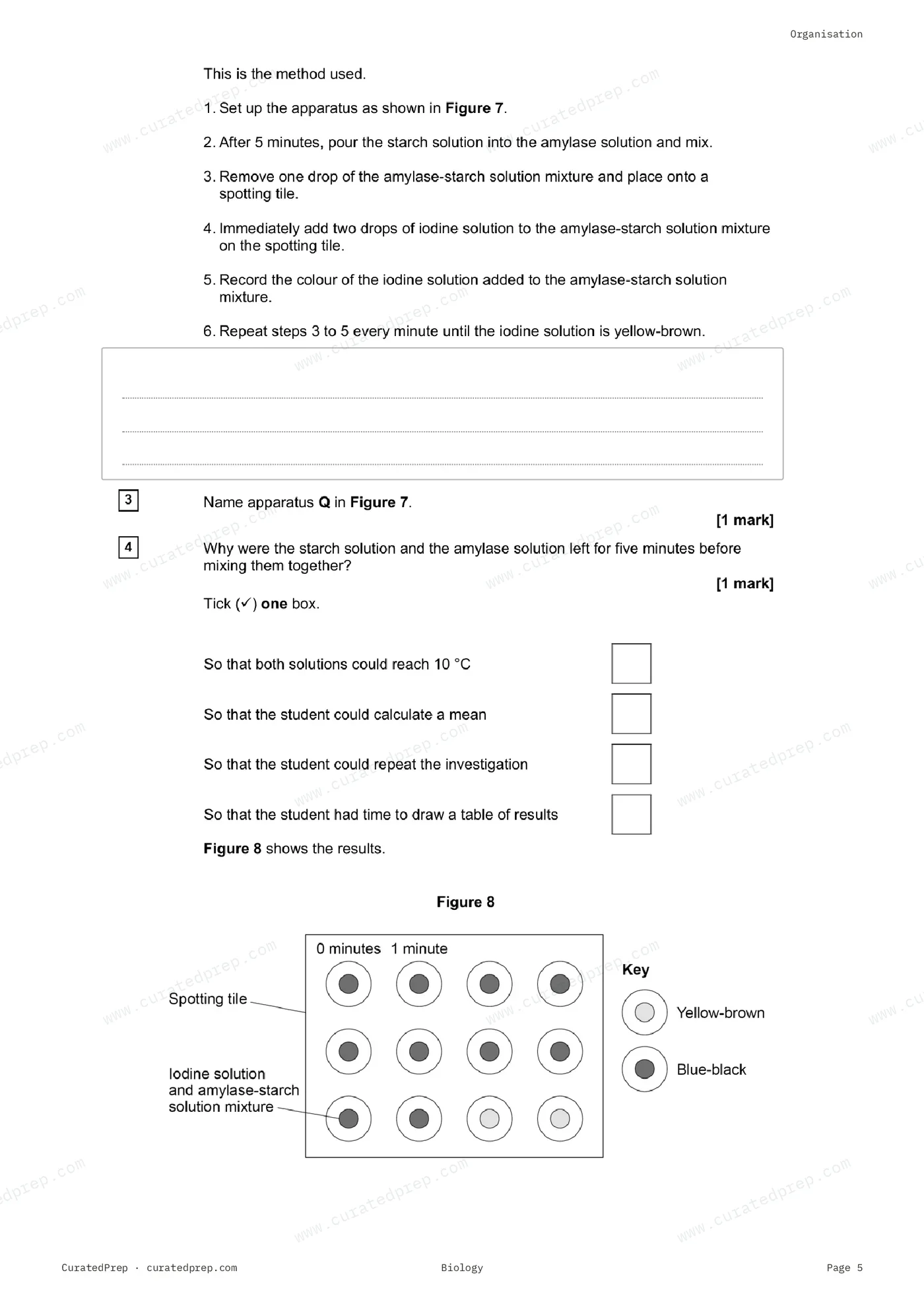 Worksheet, page 5