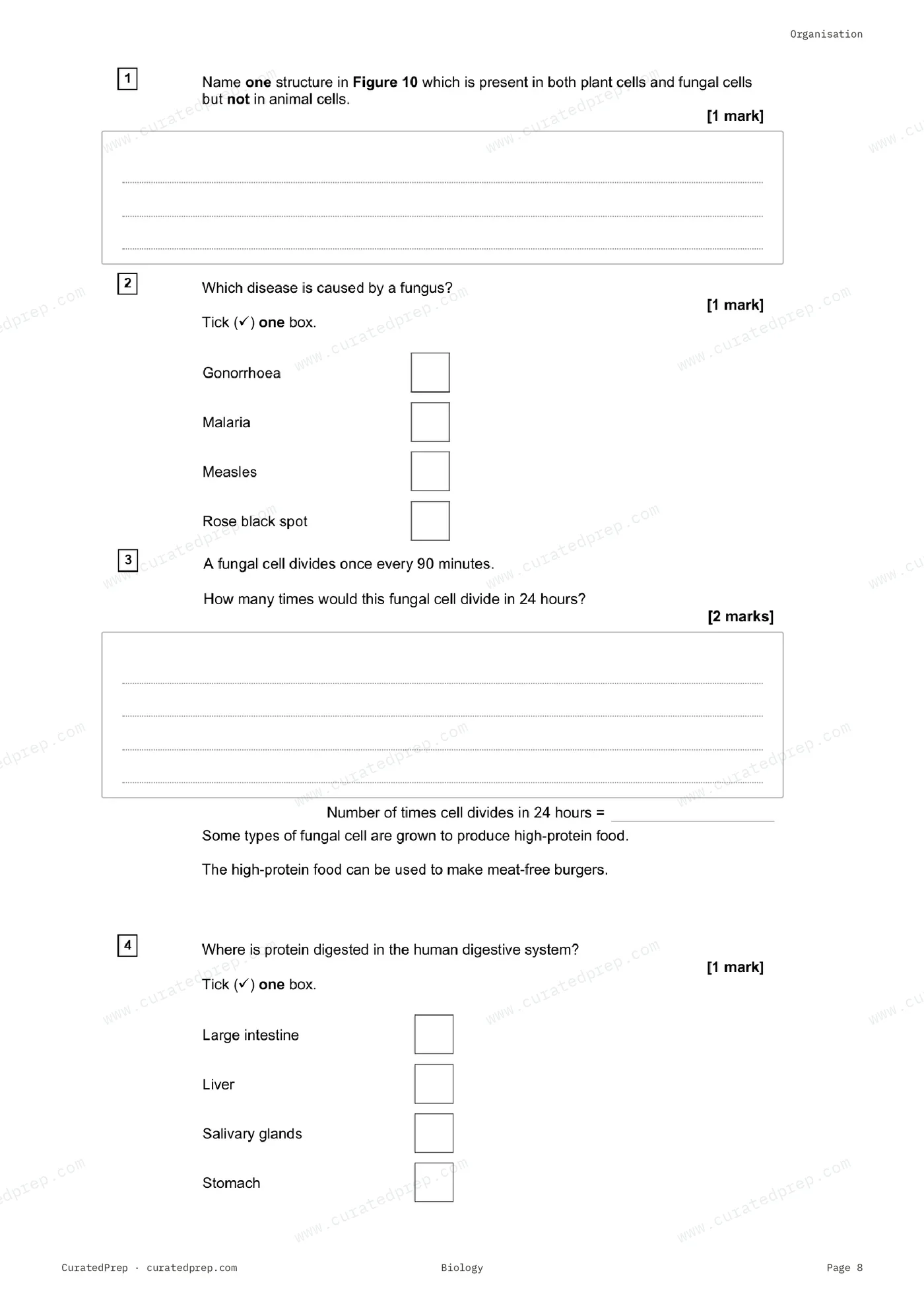 Worksheet, page 8