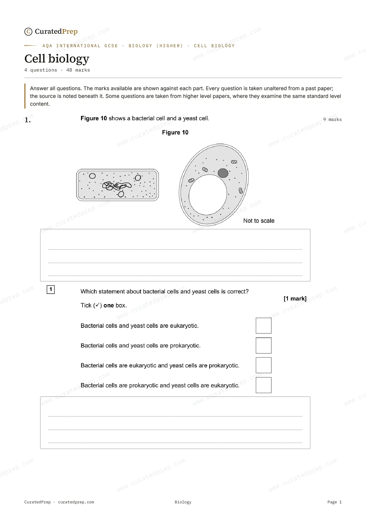 Worksheet, page 1