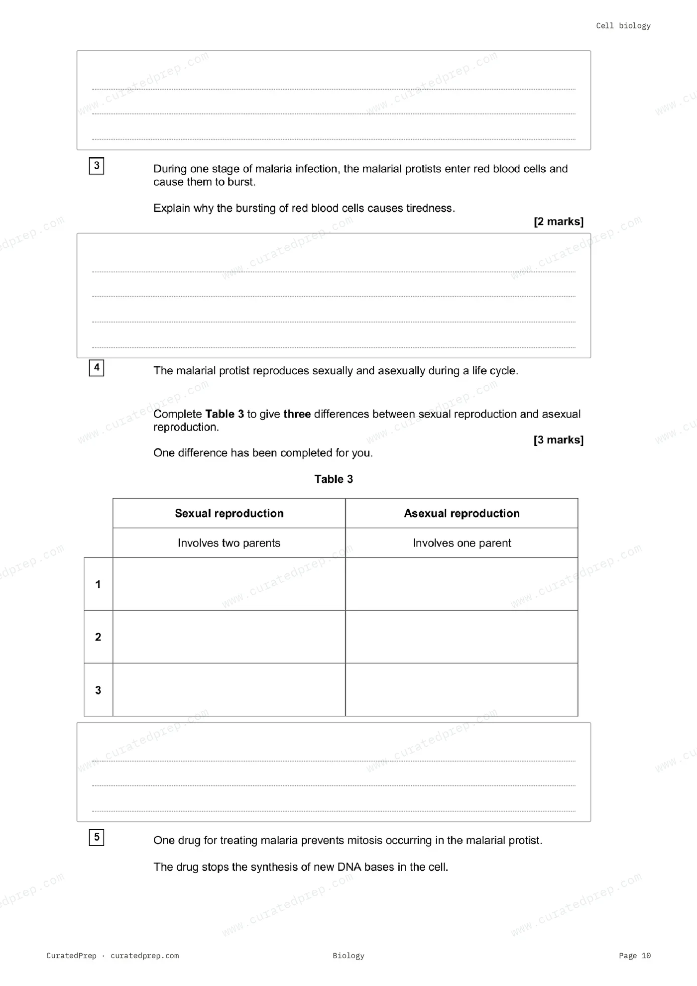 Worksheet, page 10