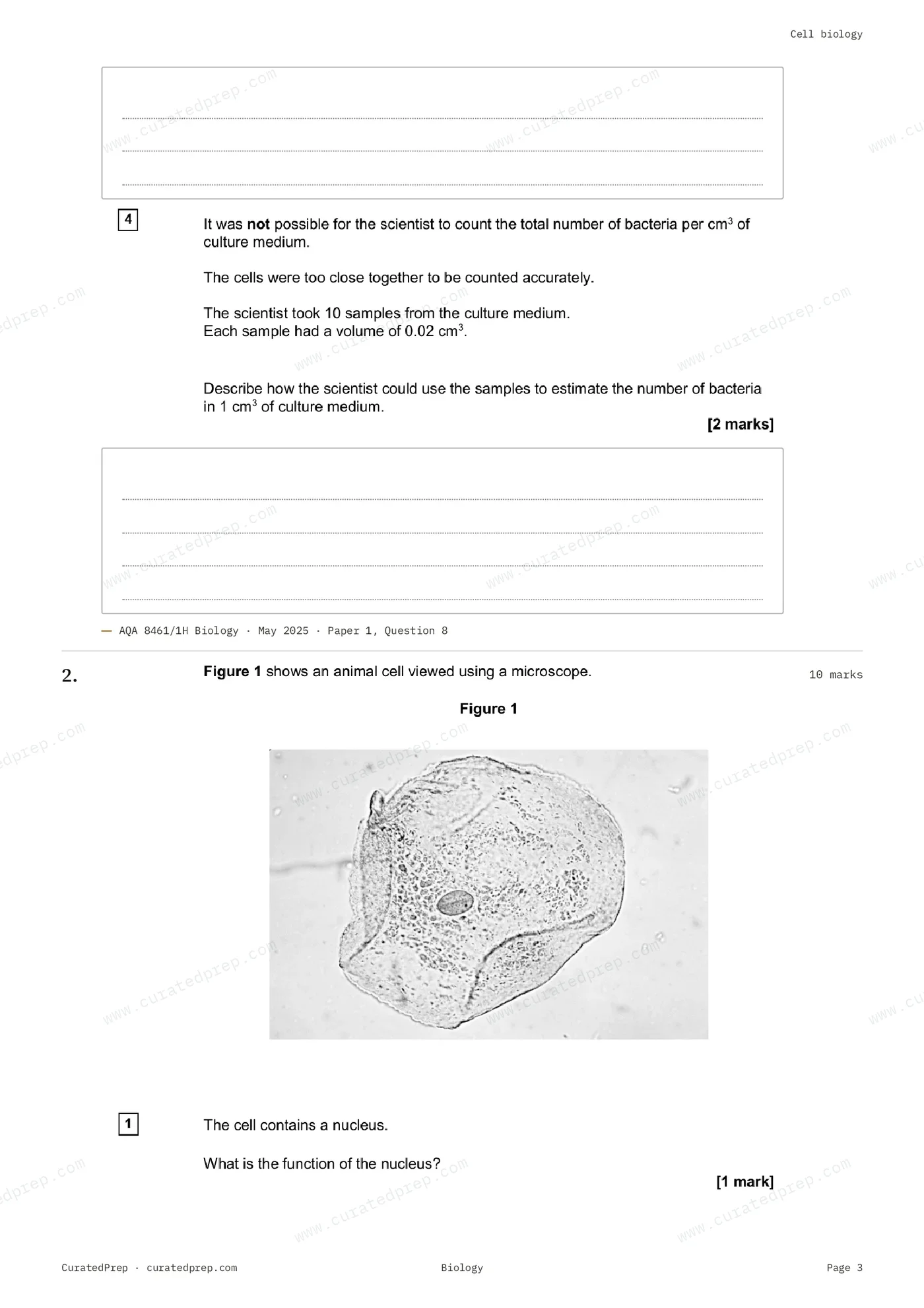 Worksheet, page 3
