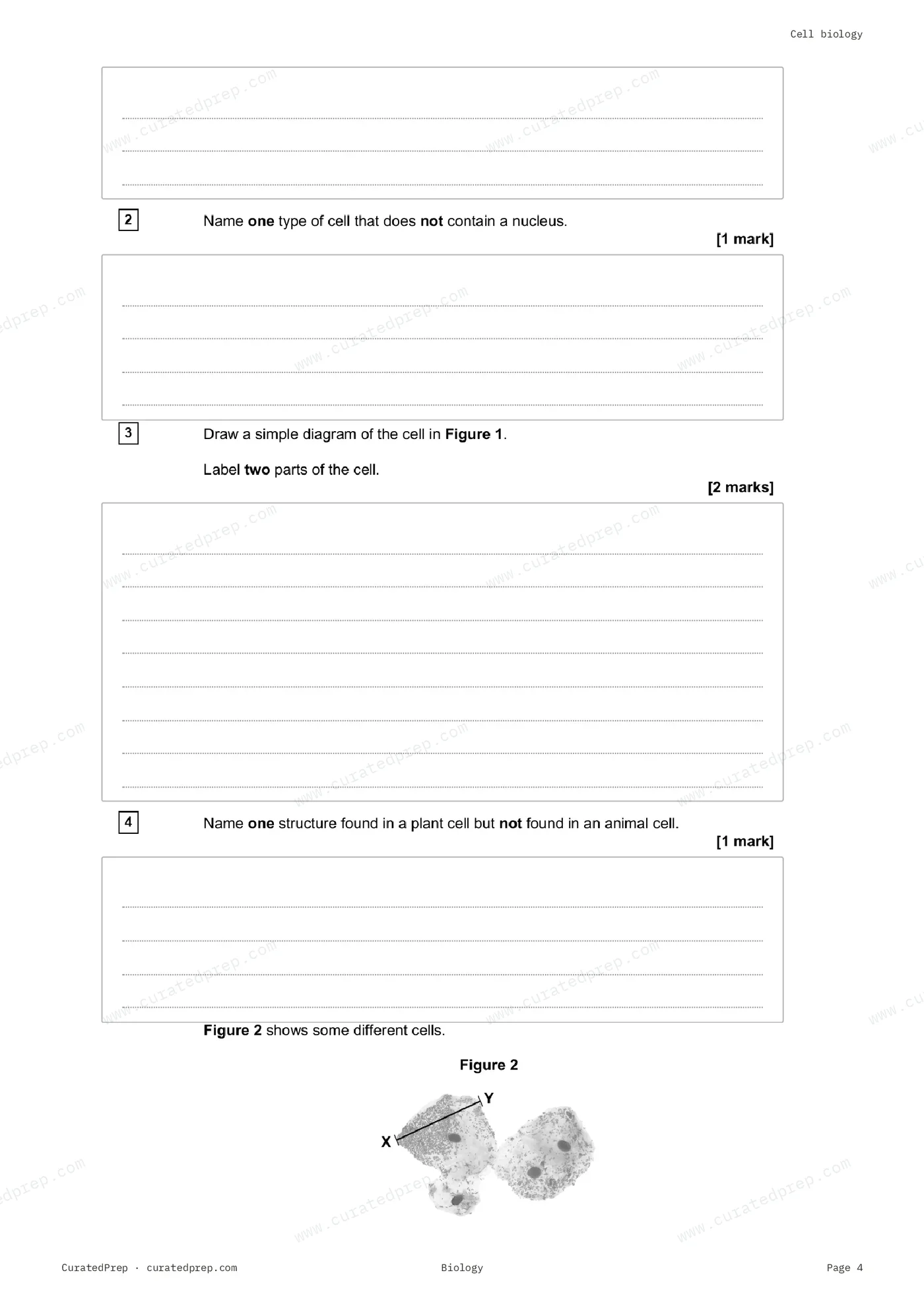 Worksheet, page 4