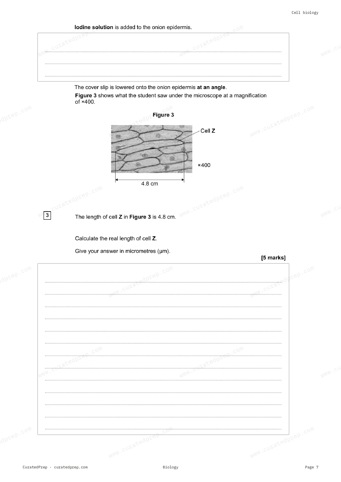 Worksheet, page 7