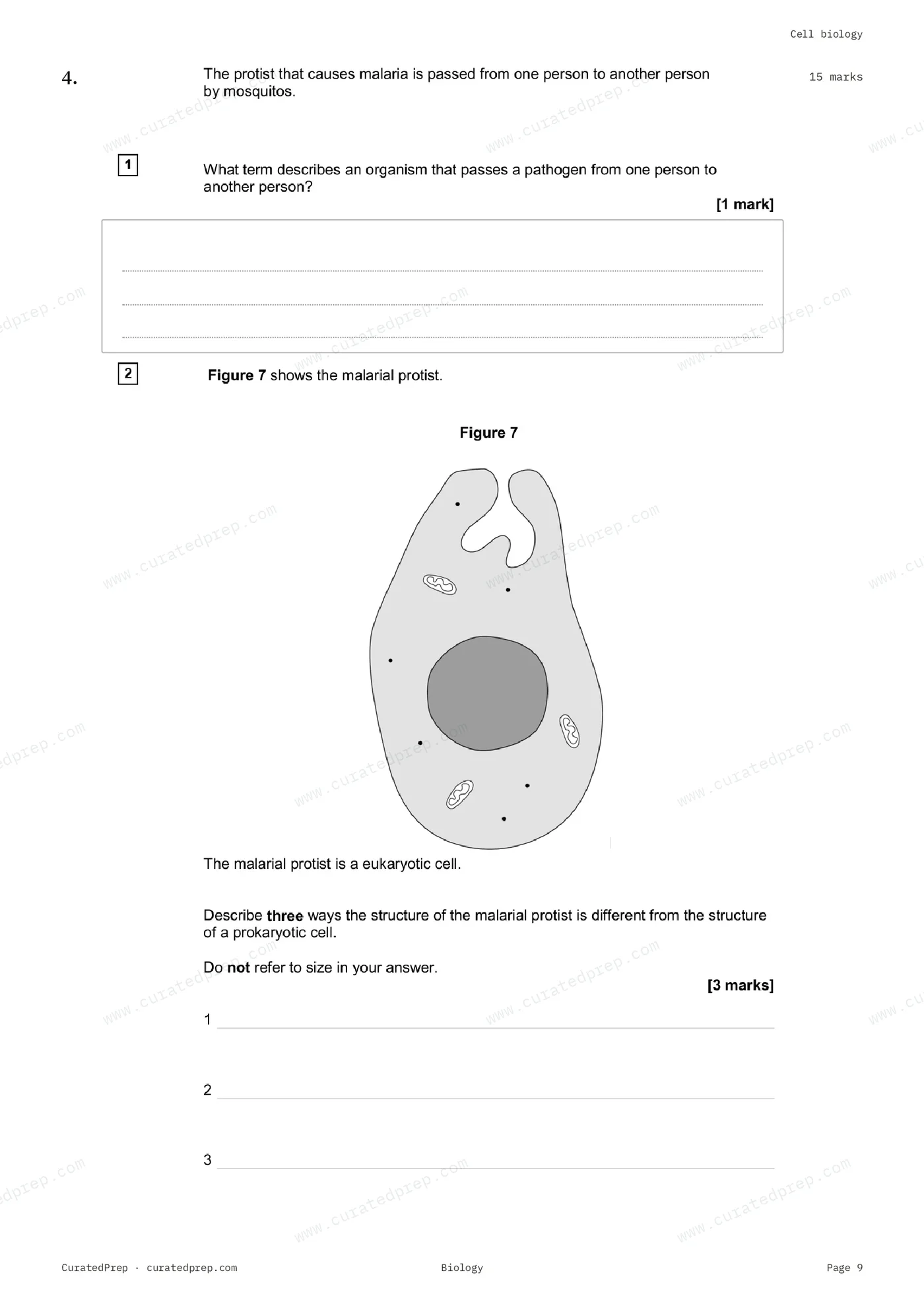 Worksheet, page 9