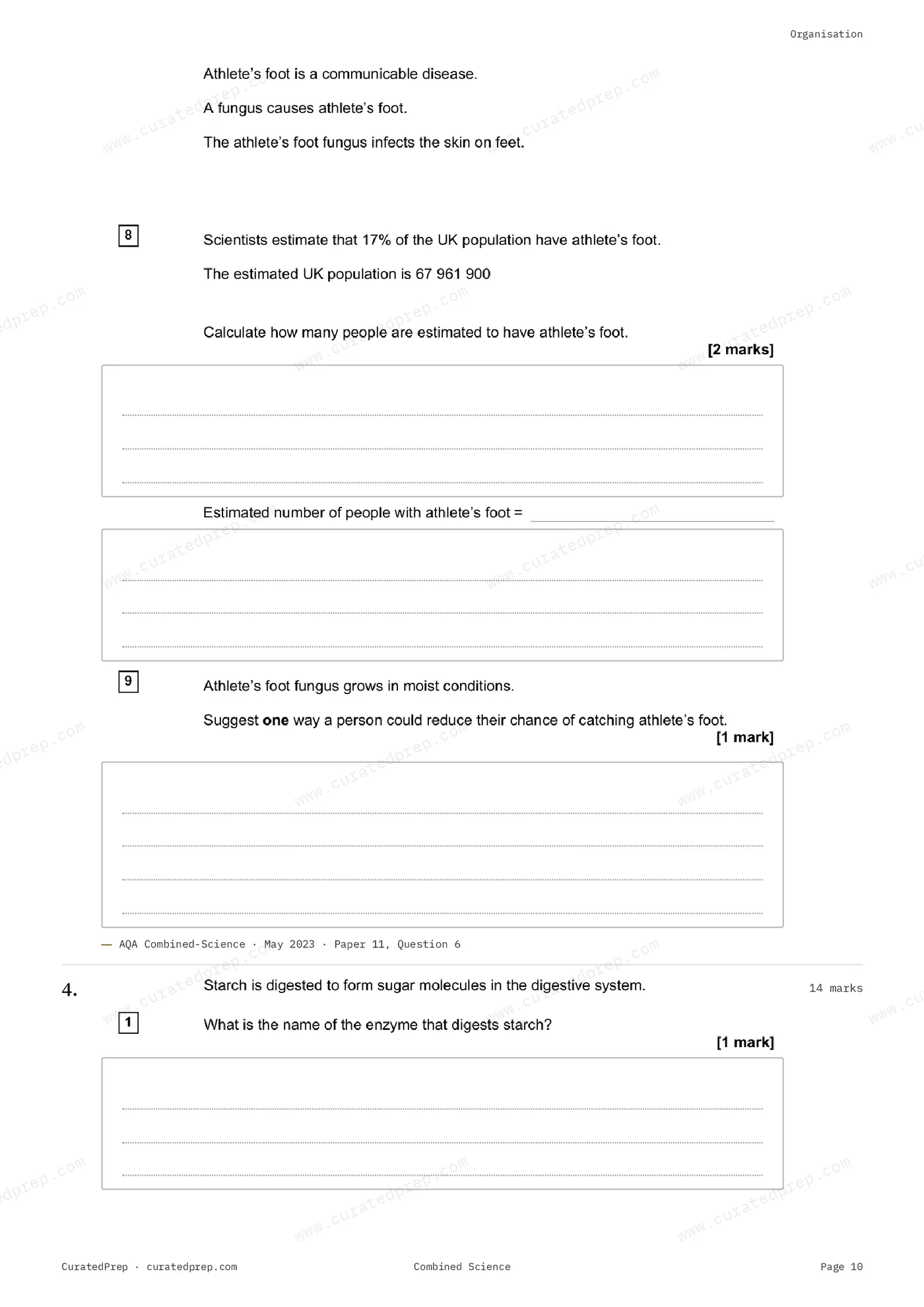 Worksheet, page 10