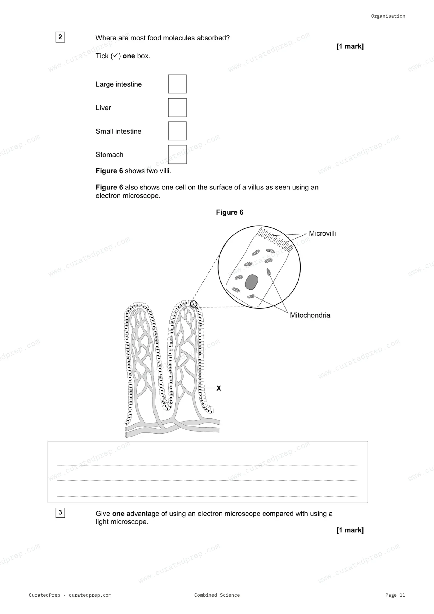Worksheet, page 11
