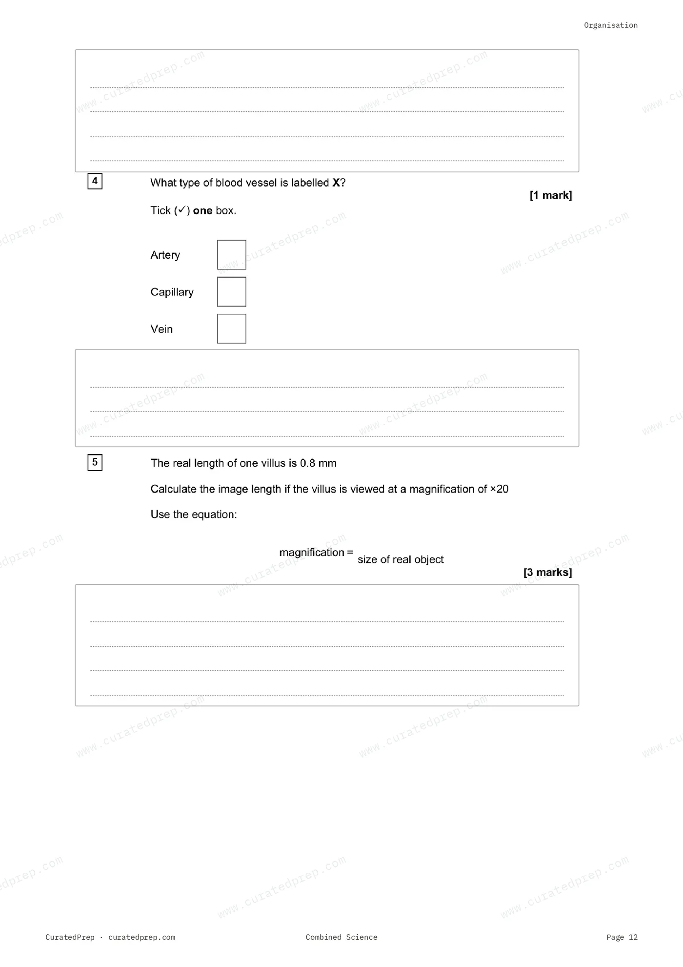 Worksheet, page 12