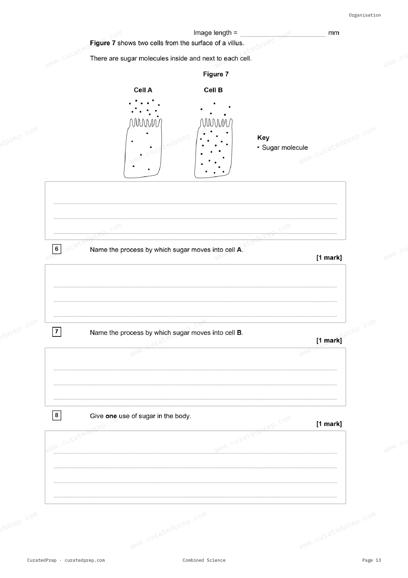 Worksheet, page 13