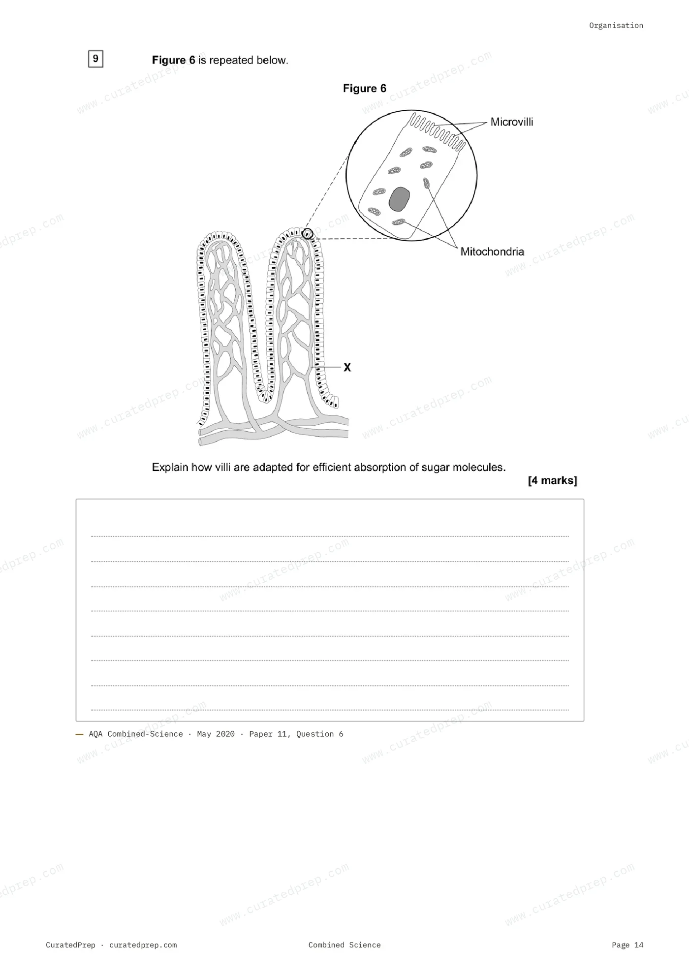 Worksheet, page 14
