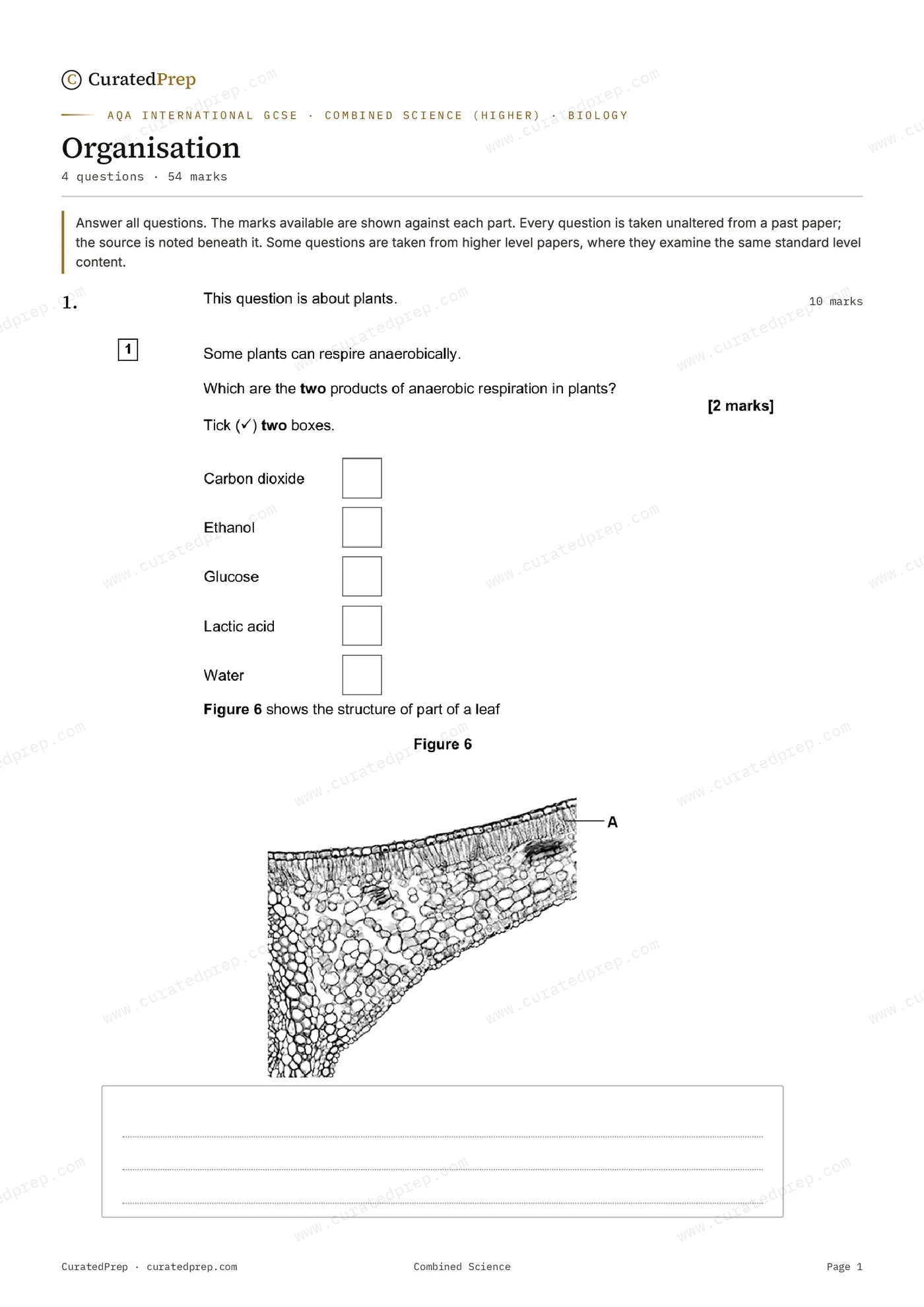 Worksheet, page 1