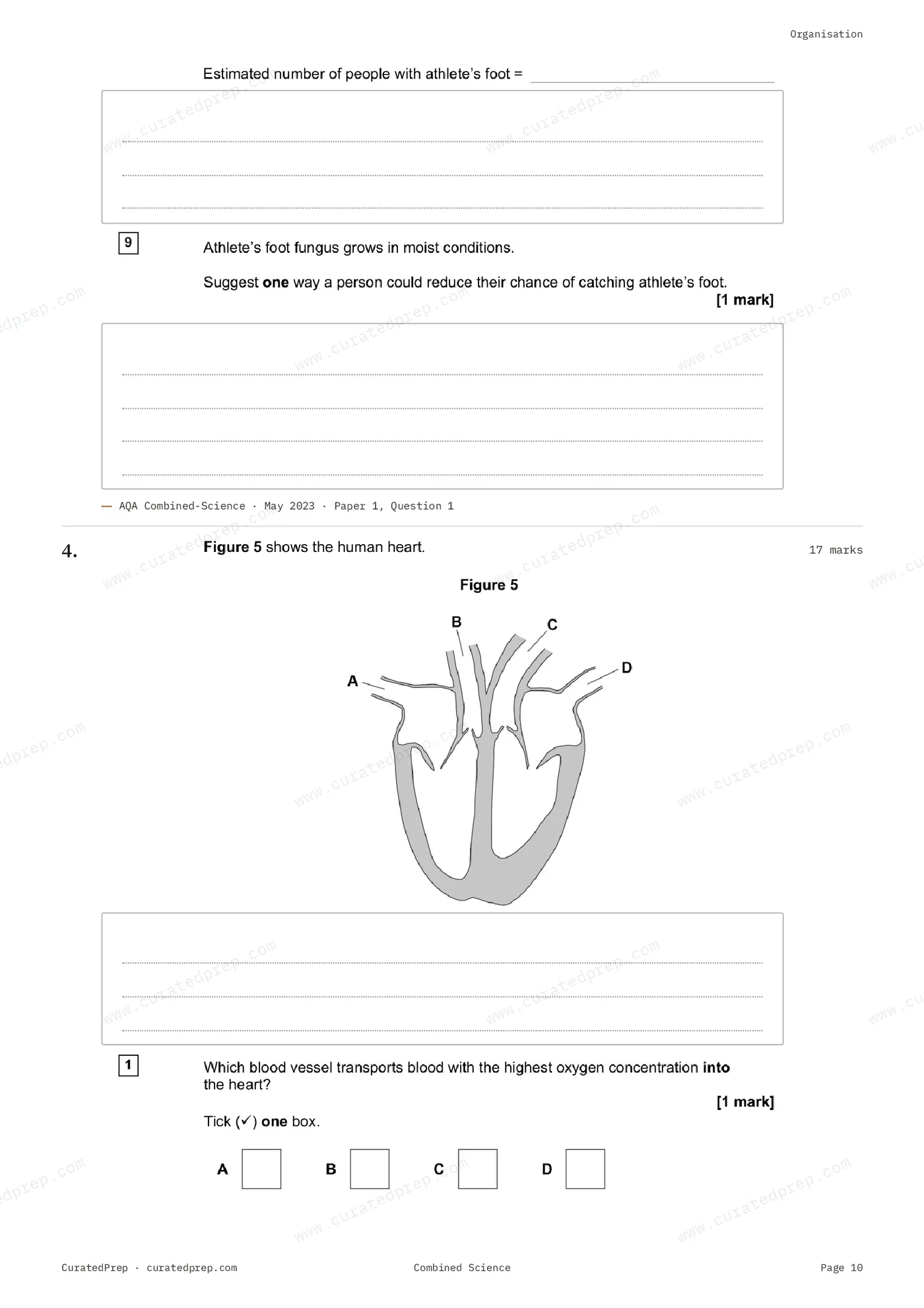 Worksheet, page 10